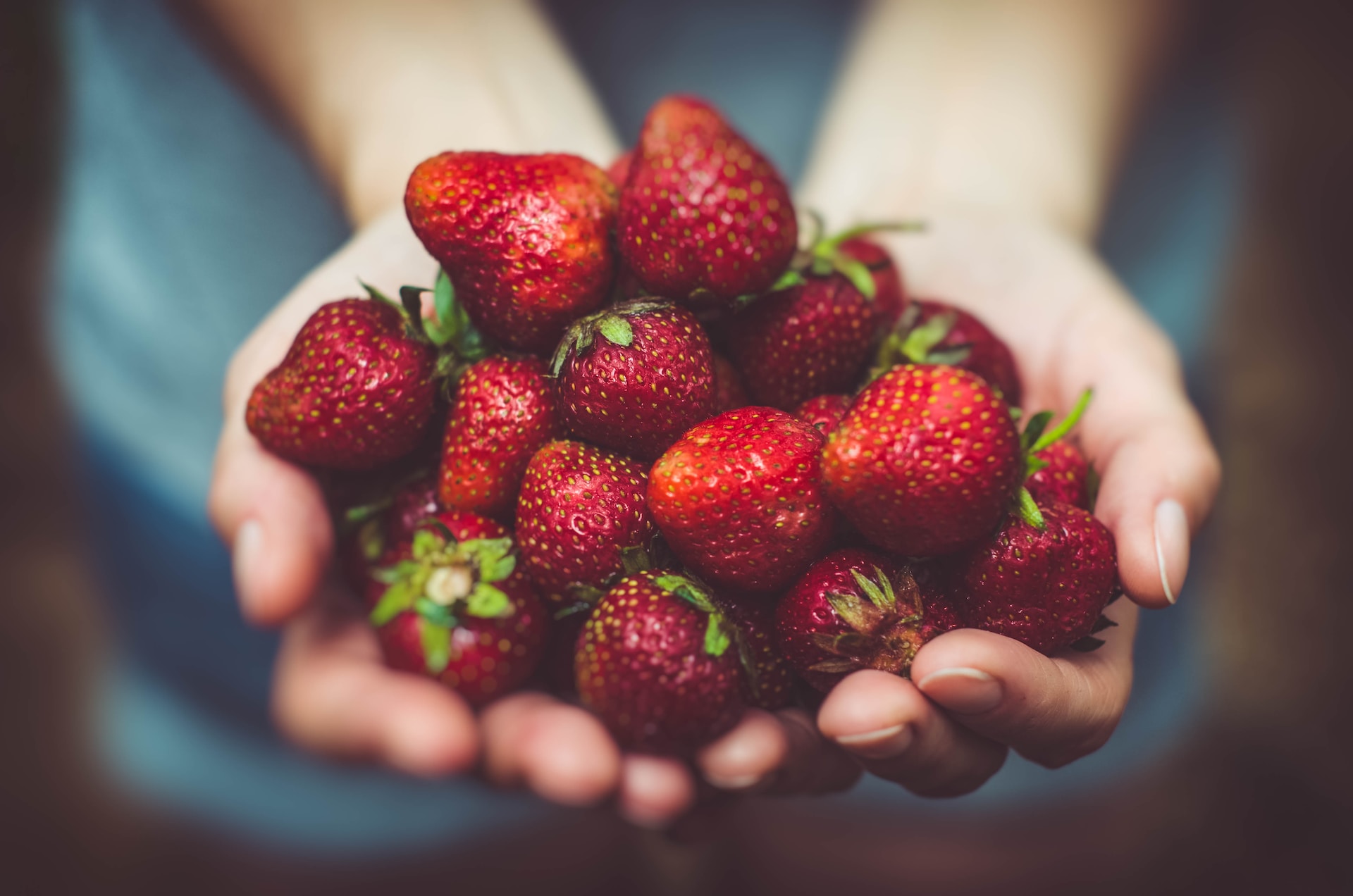 Home 4 From Farm to Table: Supporting Local Producers